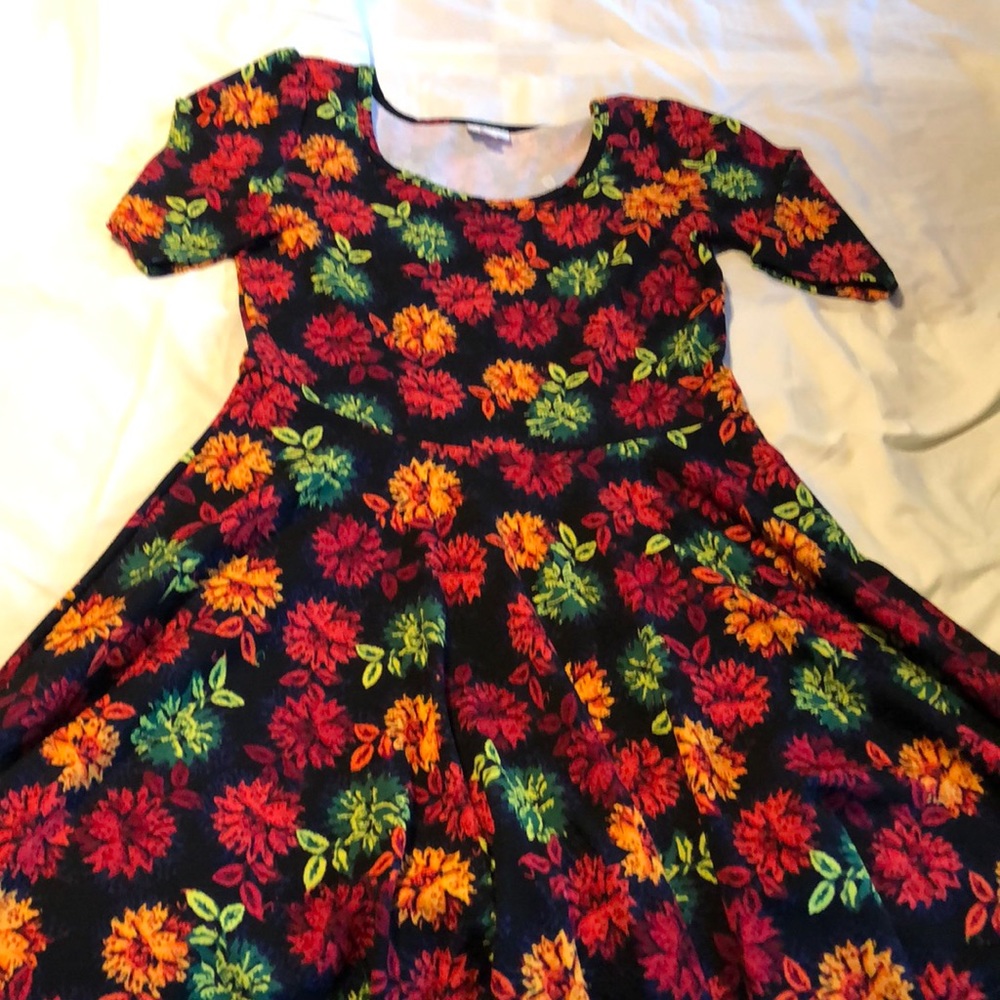 LuLaRoe Nicole dress